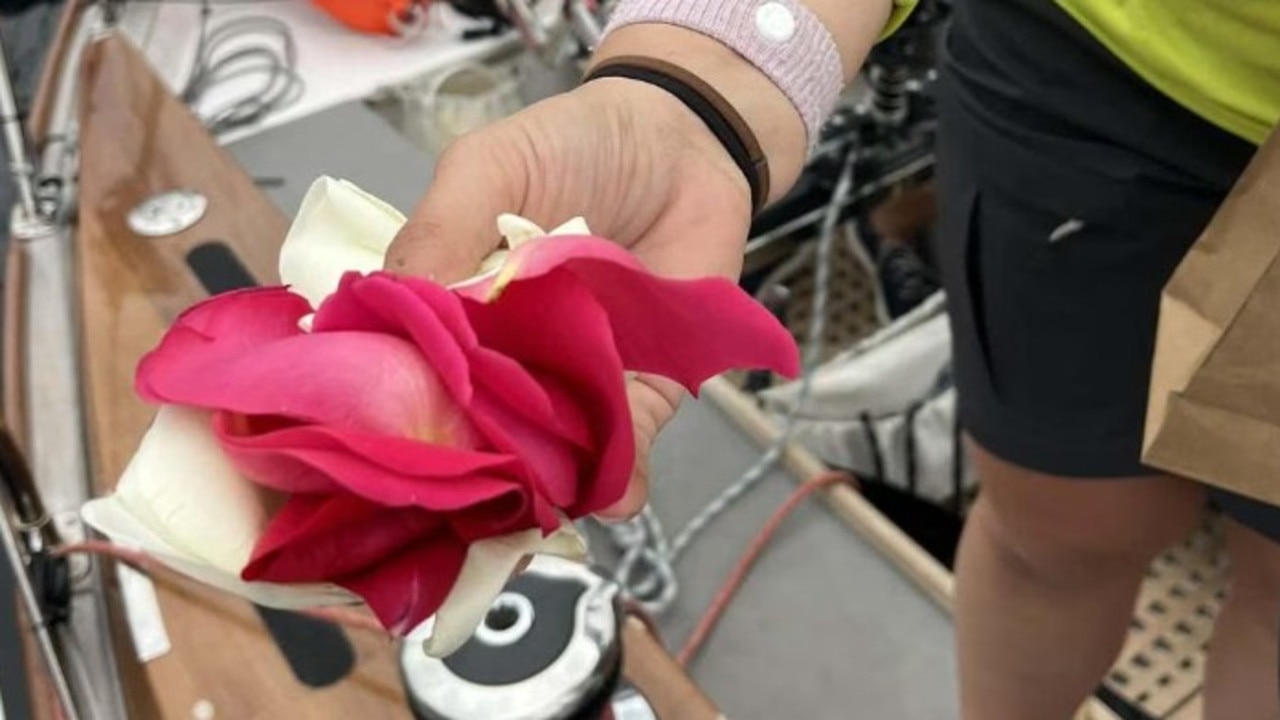 Live updates, retirements, weather forecasts, line honours winner, Master Lock Comanche leads amid LawConnect treble attempt, start time, news, video