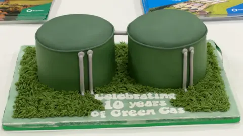 A cake made to look like an AD plant. It is green with two cylindrical buildings on 'grass'. It says "Celebrating 10 years of Green Gas) on the base in white icing writing.