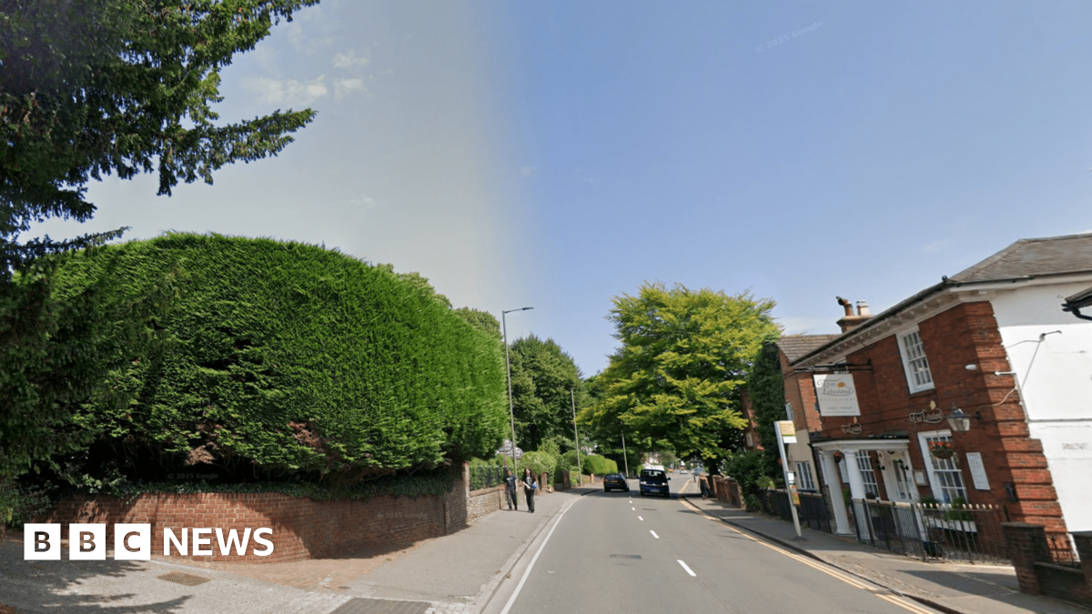 A leafy residential road with houses and trees on both sides