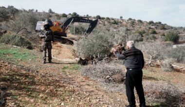 Illegal Israeli settlers destroy dozens of olive trees near occupied East Jerusalem – Middle East Monitor