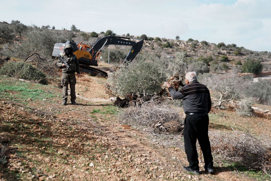 Illegal Israeli settlers destroy dozens of olive trees near occupied East Jerusalem – Middle East Monitor