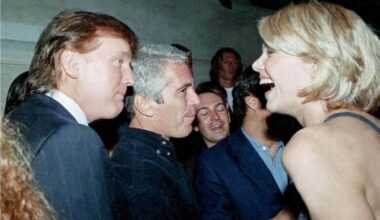 Latest batch of Epstein files contain multiple references to Trump