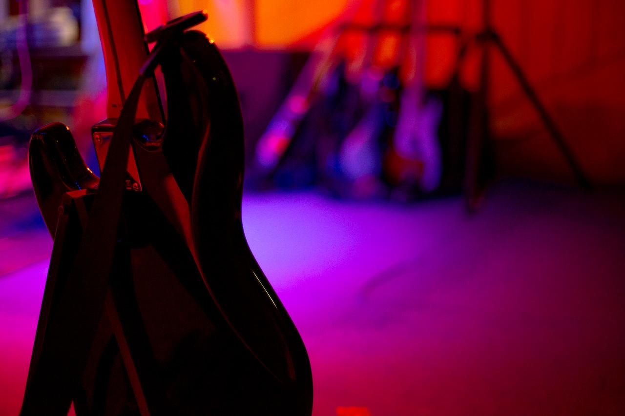 Grammy-nominated musician dead after being hit by car while walking dog