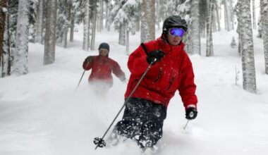 placeholder alt text