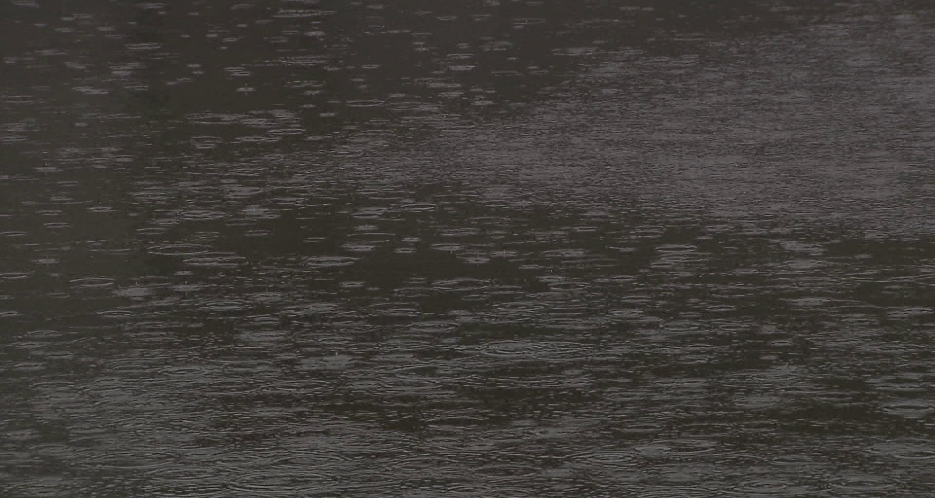 Parts of Fraser Valley district under evacuation order due to atmospheric river