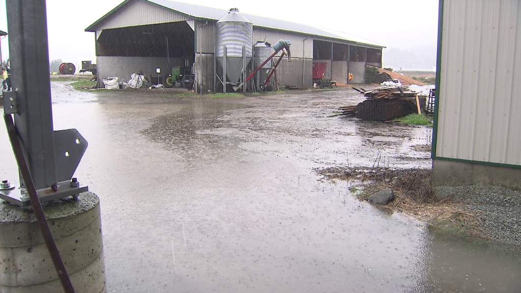 Evacuation alerts to Sumas Prairie West and Clayburn Village