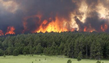 Xcel Energy currently tracking elevated fire risks in Colorado