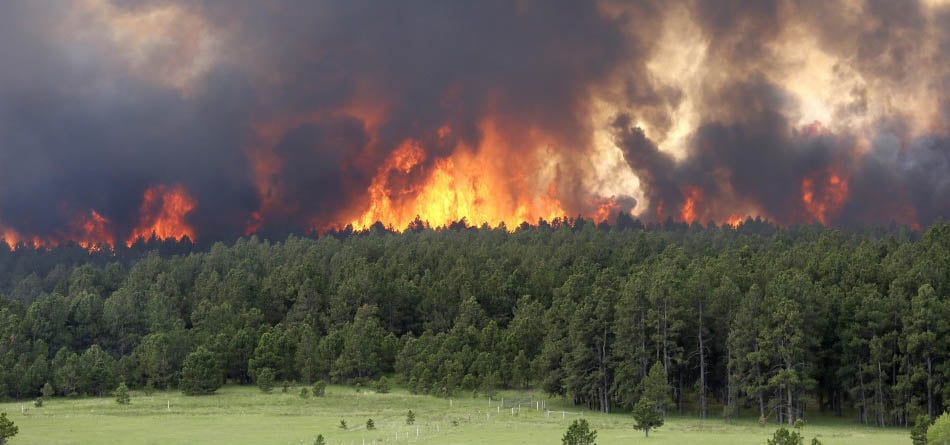 Xcel Energy currently tracking elevated fire risks in Colorado