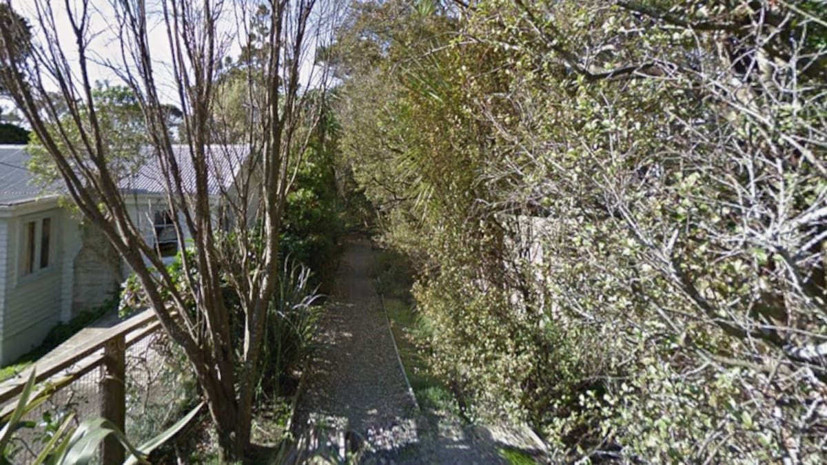 Police investigate nude man in camo mask at Birkenhead Le Roy Bush walkway