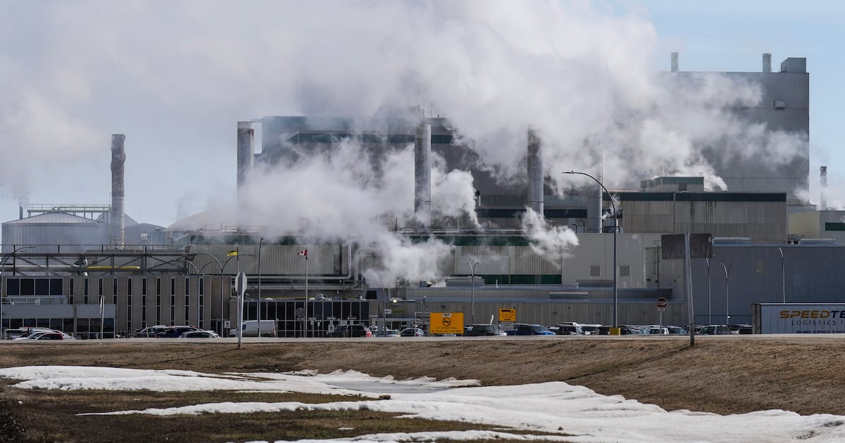 Don’t ‘take the bait’ when it comes to Trump’s fertilizer threats: Sask. premier - CTV News