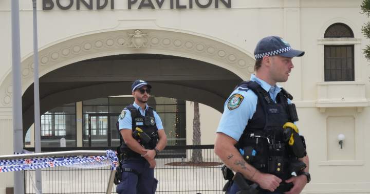 Australia plans tougher laws against displaying extremist flags after Bondi shooting - National