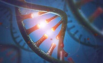 Exploring the Link Between RNA Modification and Prostate Cancer Growth