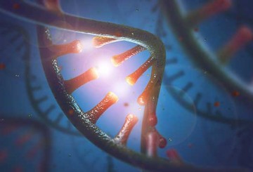 Exploring the Link Between RNA Modification and Prostate Cancer Growth