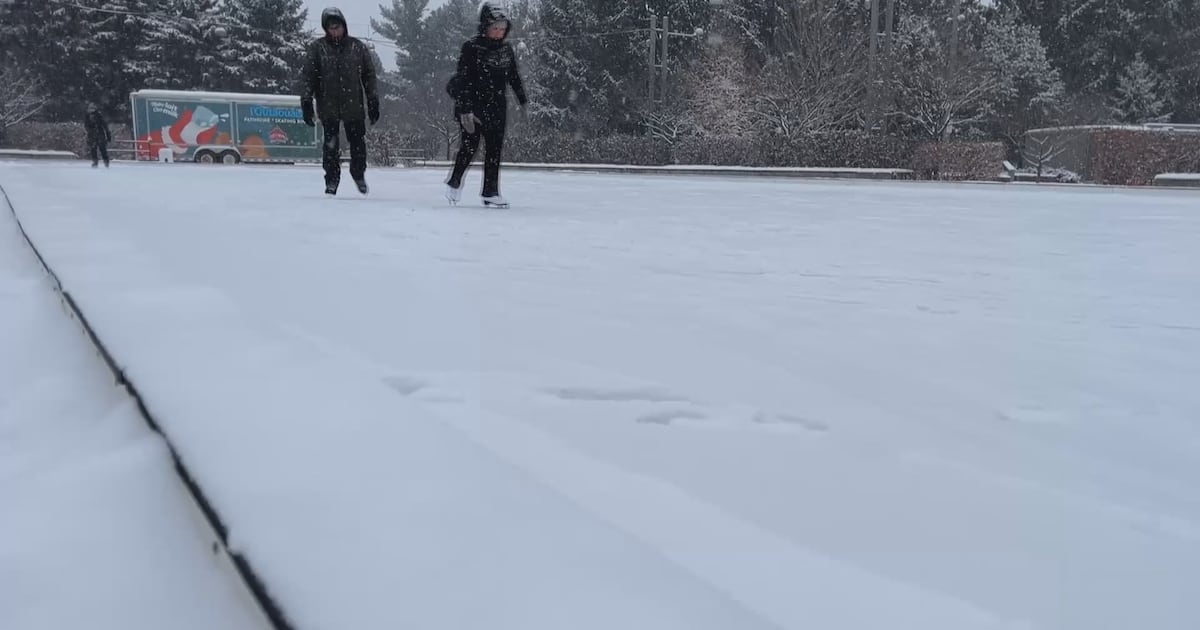 Cleanup underway after 12 cm of snow blankets Ottawa - CTV News
