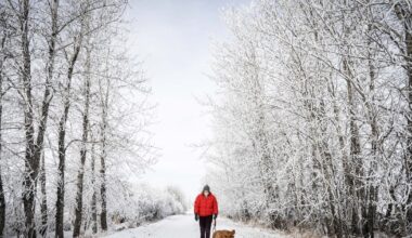 Western and Northern Canada braces for chilly, snowy Christmas - CTV News