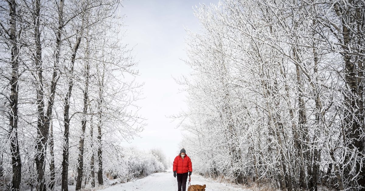 Western and Northern Canada braces for chilly, snowy Christmas - CTV News