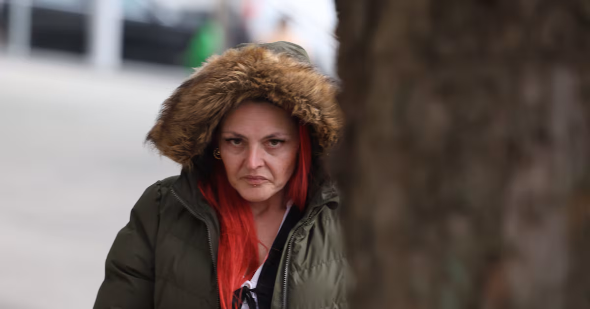 Woman sentenced for ‘catastrophic’ online threats to Simon Harris – The Irish Times