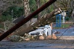 FILE - A car is crushed by a fallen tree on Northeast 24th Avenue, Dec. 17., 2025 in Portland.