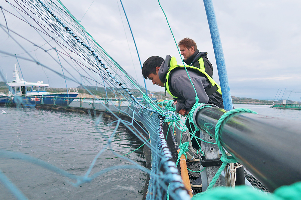 MIT Sea Grant students explore the intersection of technology and offshore aquaculture in Norway | MIT News