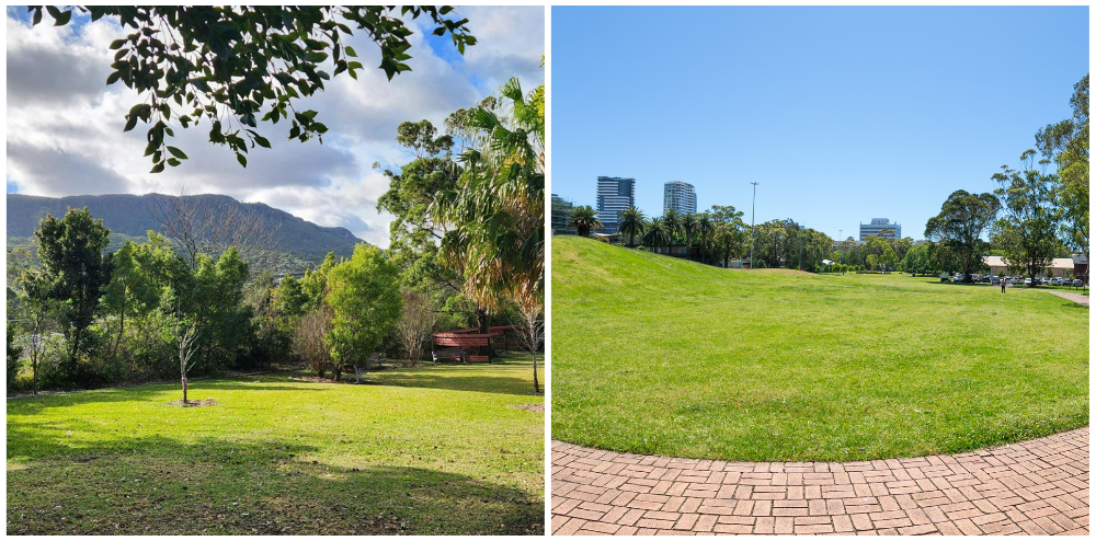 Green light for skate park locations at Thirroul and Wollongong