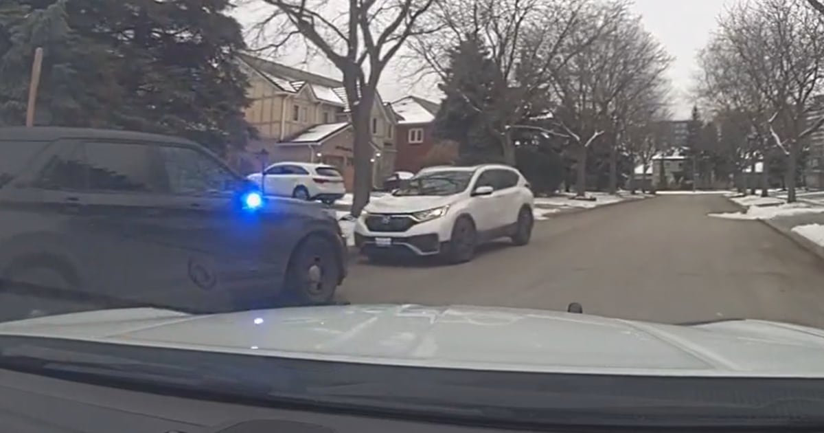 4 teens charged in attempted robbery at mall in Mississauga – CP24