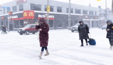 GTA spared worst of major winter storm as up to 50 cm targets other parts of Ontario - CTV News