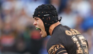 Perth Bears confirm two more signings - NRL News