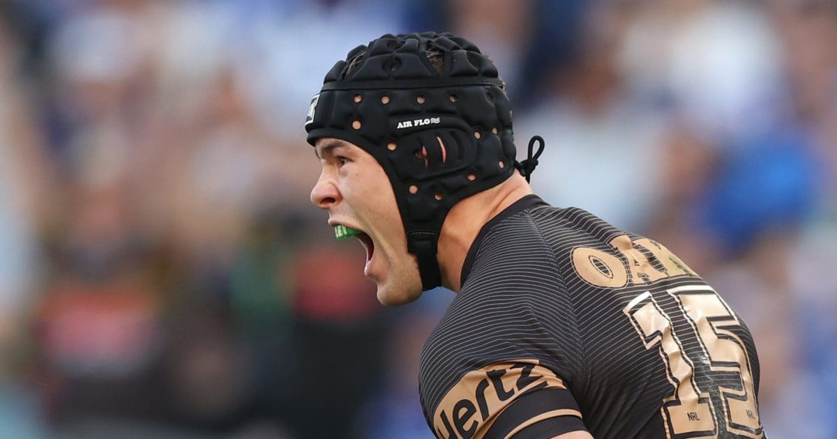 Perth Bears confirm two more signings - NRL News