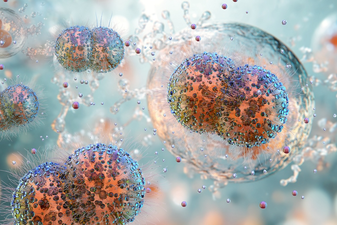 Study Identifies Misleading Genomic Sequences of Bacteria Causing Gonorrhea