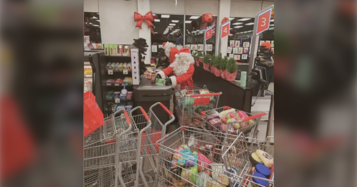 Santa, elves sought in alleged Montreal grocery theft described as political act - CTV News