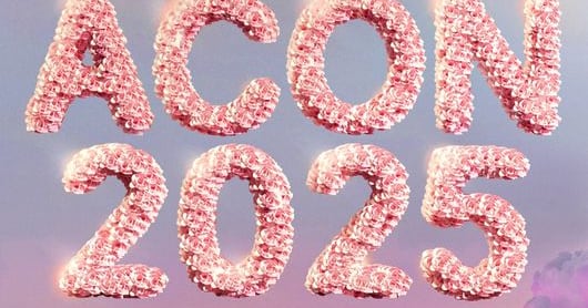 10th Anniversary Asia Artist Awards 2025 Kicks Off in Kaohsiung - 조선일보