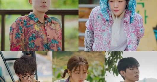 Pro Bono Team's Rural Mission for Divorce Case - 조선일보