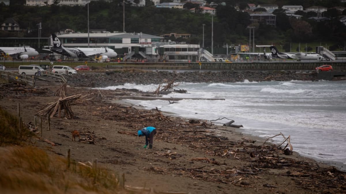 Water pollution warnings for Wellington, Lower Hutt after wastewater discharges