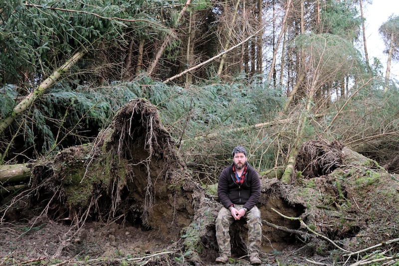 Owner Frank McHugh in February in his Co Leitrim forest, which was severely damaged in the storm. Photograph: Ronan McGreevy