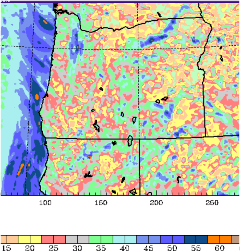 WRF-GFS wind gust forecast