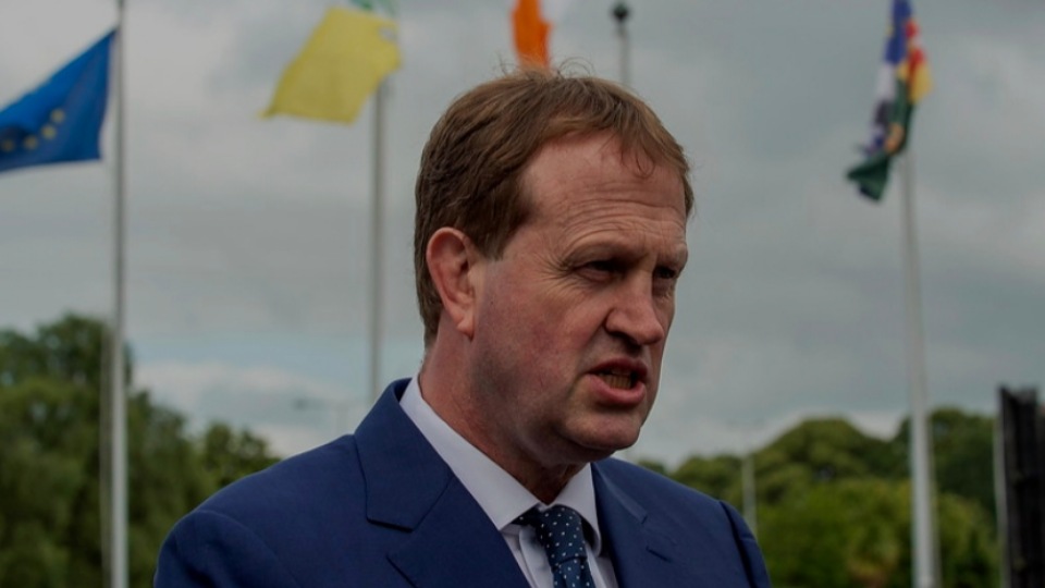 Minister: European Court limiting Irish deportations