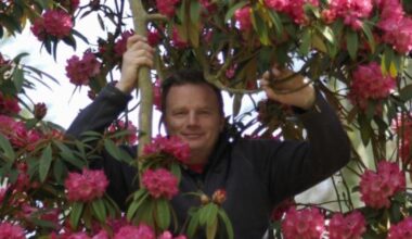 Sadness expressed at death of renowned head gardener and writer Seamus O’Brien – The Irish Times