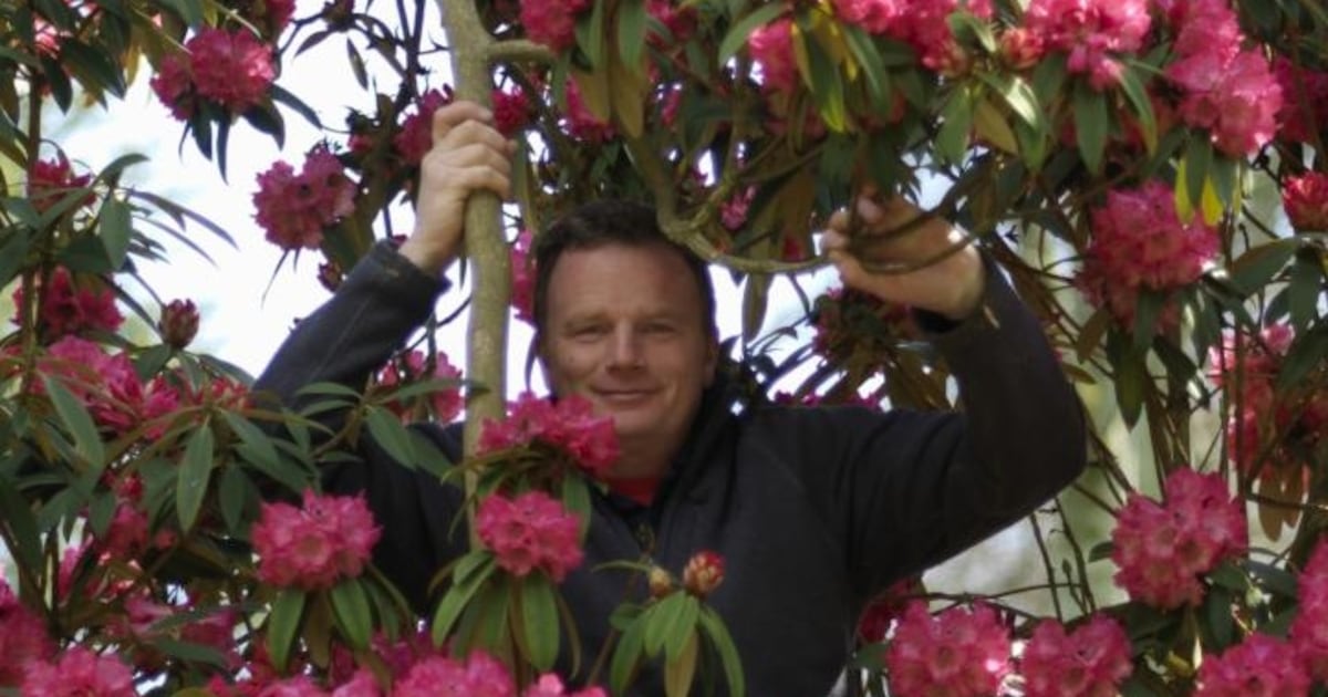 Sadness expressed at death of renowned head gardener and writer Seamus O’Brien – The Irish Times
