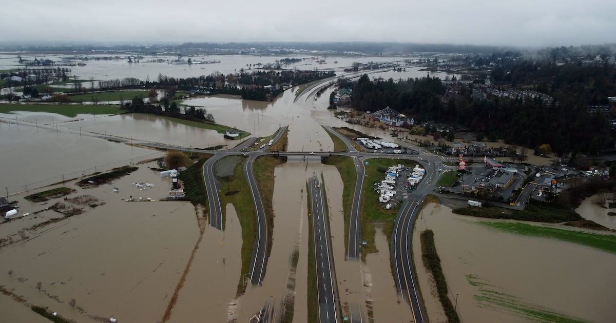 Abbotsford residents urged to stay off flooded roads after man rescued from roof of car - CTV News