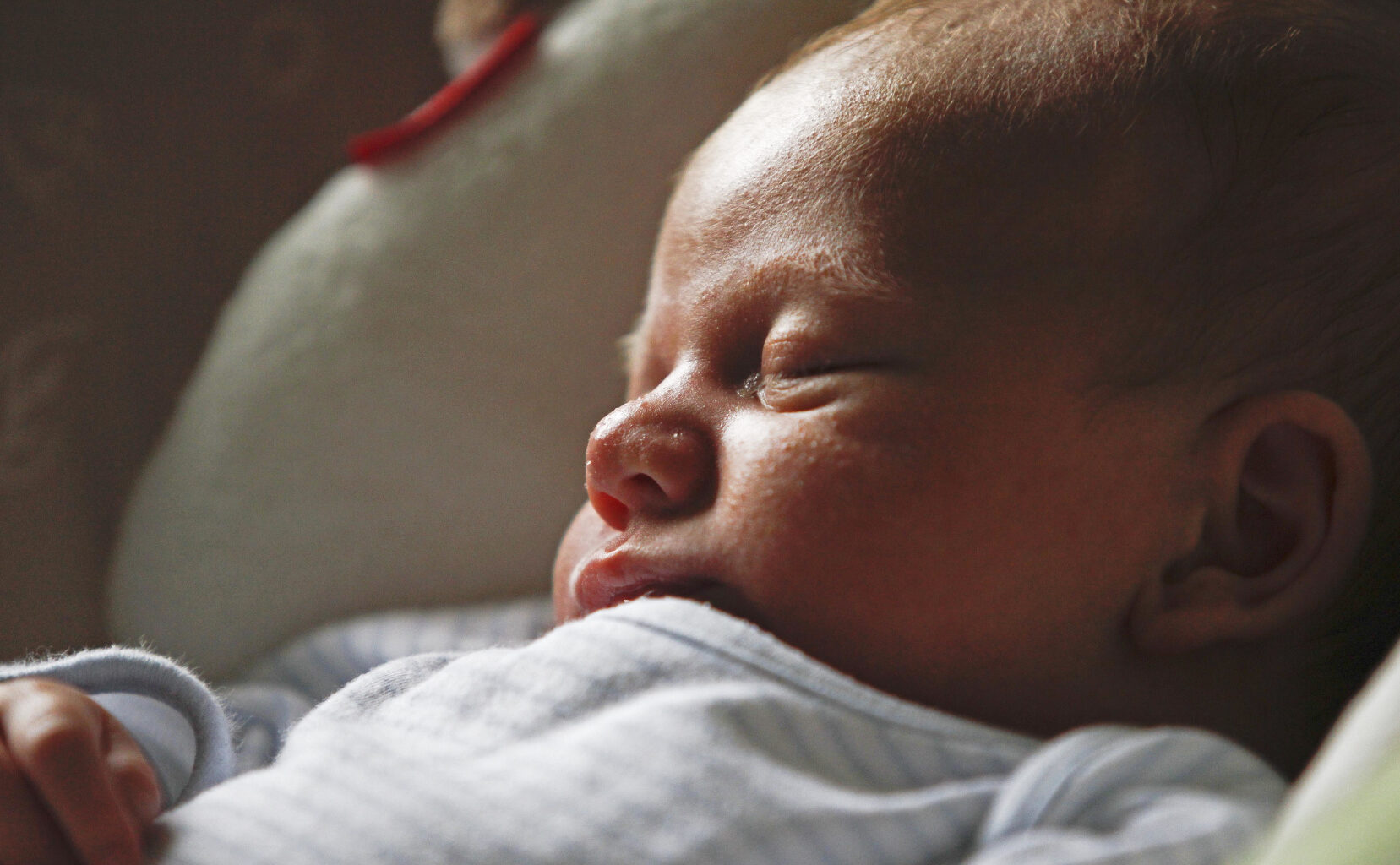 Most Popular Baby Names in Nova Scotia in 2025