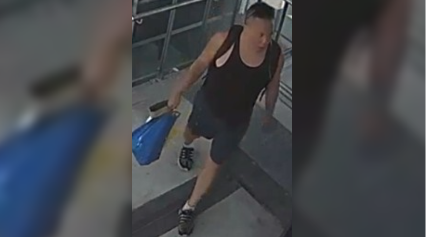 Man wanted in alleged sexual assault on Scarborough GO train