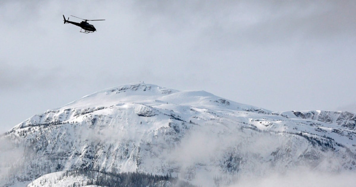 Driver dead, another in serious condition after head-on crash near Revelstoke, B.C. - CTV News