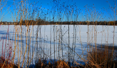 Lake of the Isles warm winter