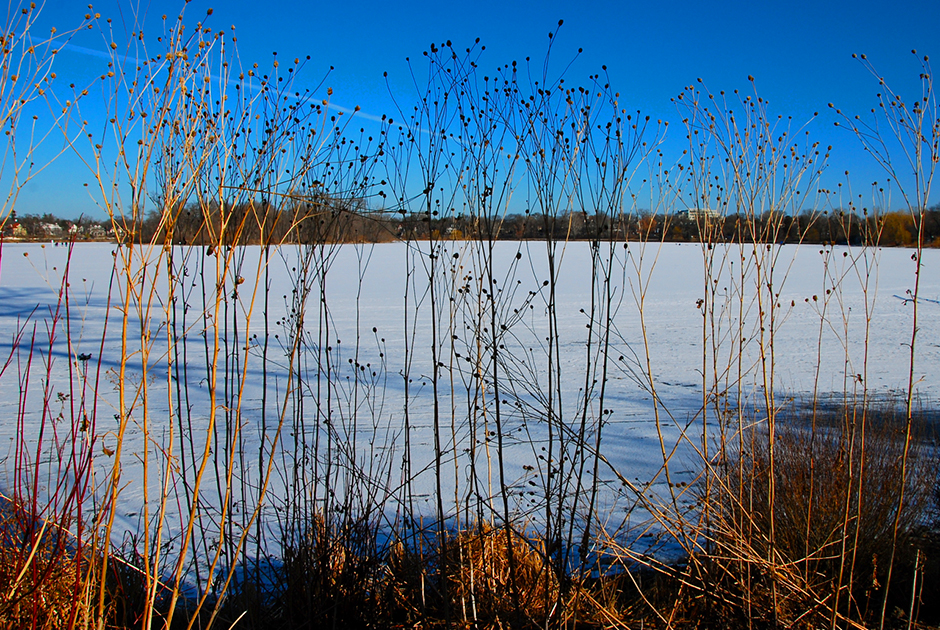 Lake of the Isles warm winter