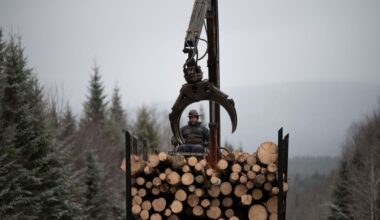 Maine loggers are used to hard times. Then came the tariffs.