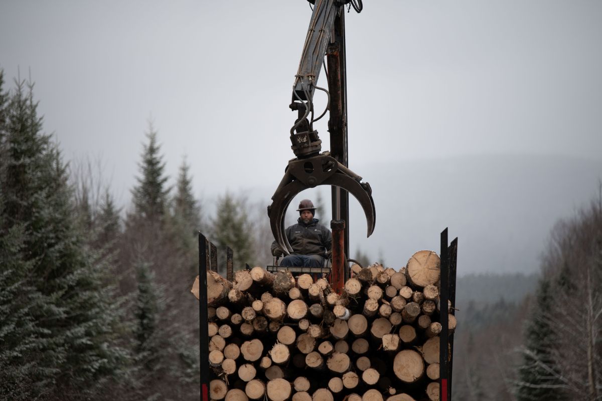 Maine loggers are used to hard times. Then came the tariffs.