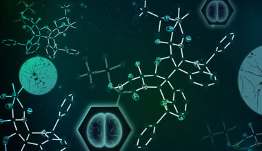 MIT chemists synthesize a fungal compound that holds promise for treating brain cancer | MIT News