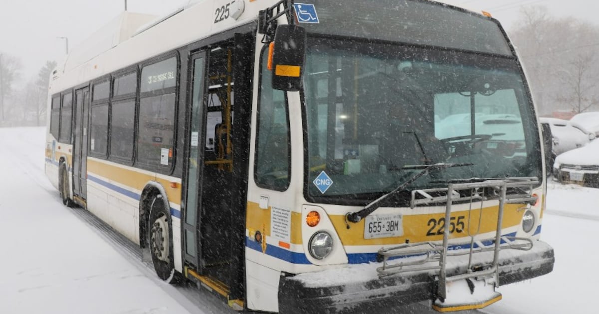 Hamilton city bus strikes and kills child: police