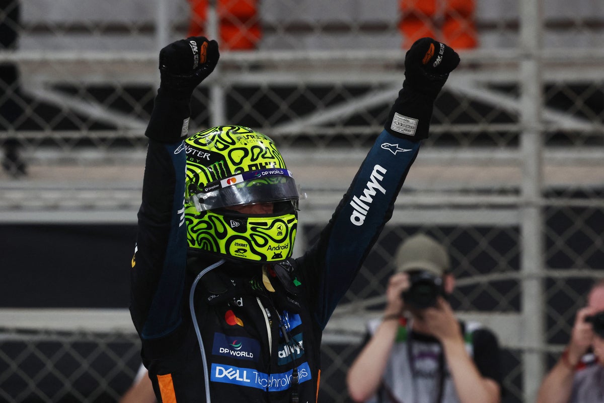 Lando Norris wins F1 world title for first time after nervy Abu Dhabi GP - latest