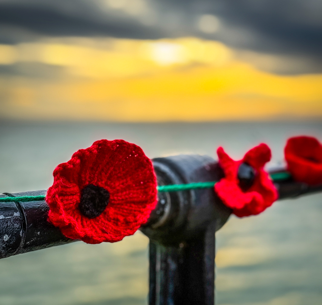 Council matches Royal British Legion fundraising with £10,000 donation following Poppies on the Pier success – Southend-on-Sea City Council